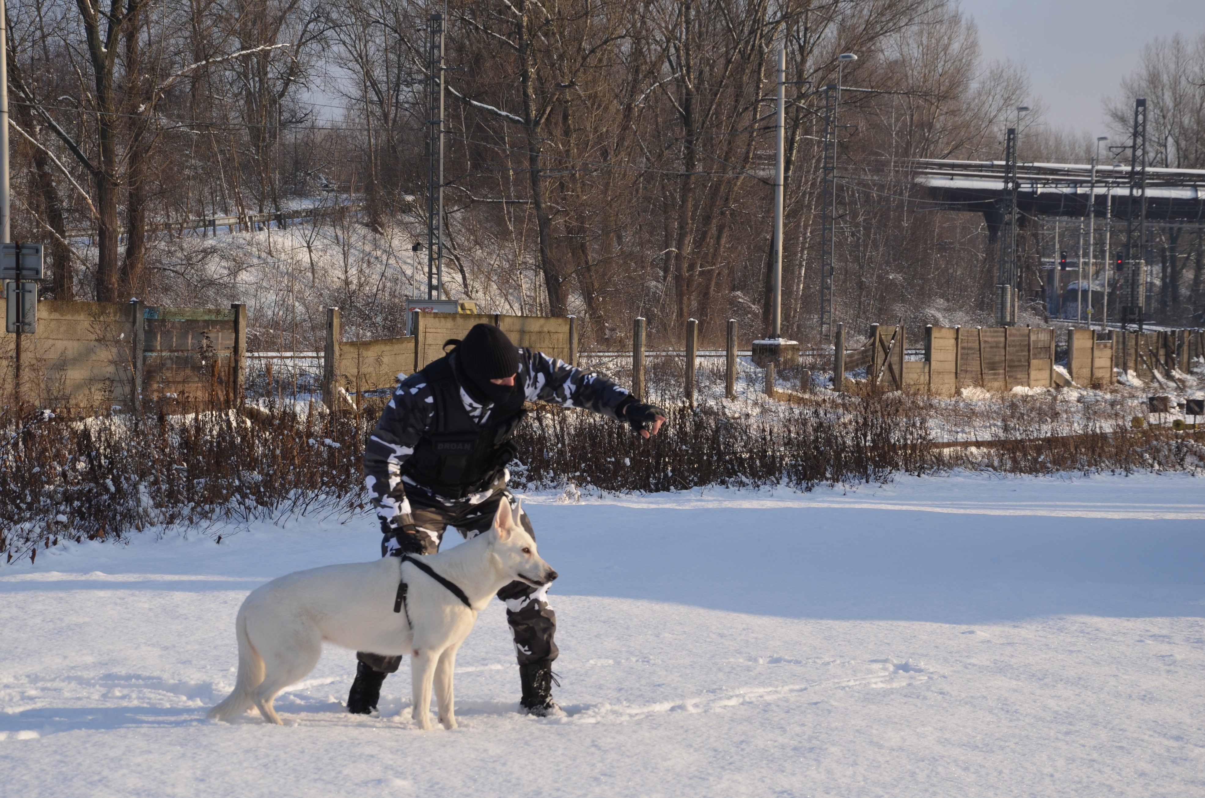 Bezpečnostní služba DROAN s.r.o. foto 3