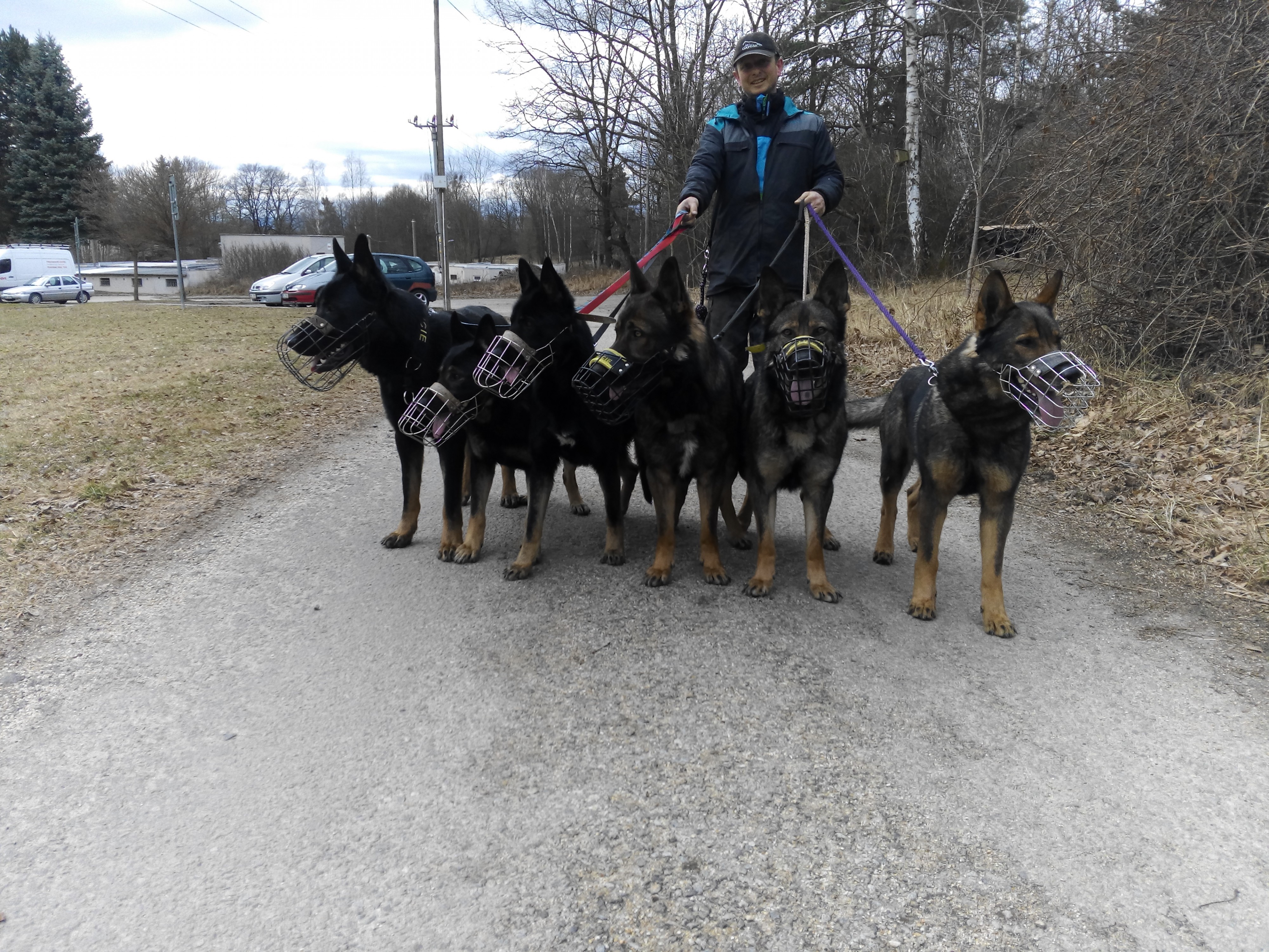 Český kynologický svaz ZKO Chlum u Třeboně - 255 foto 2