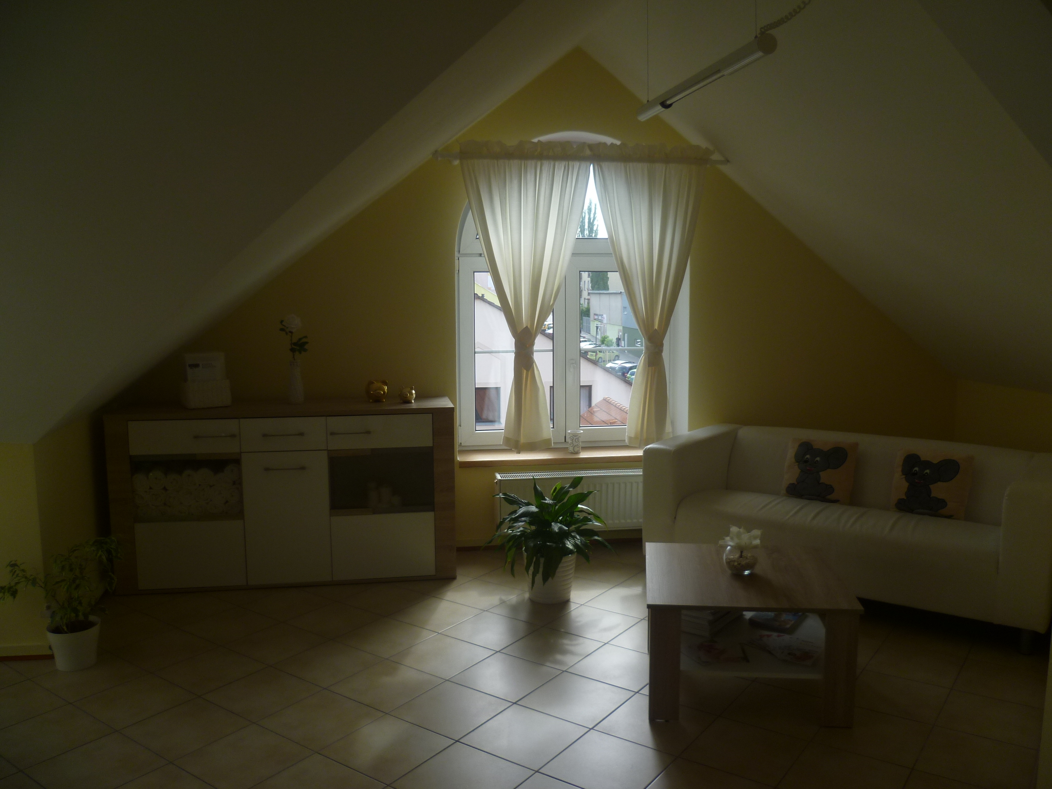 SALON Myška foto 2