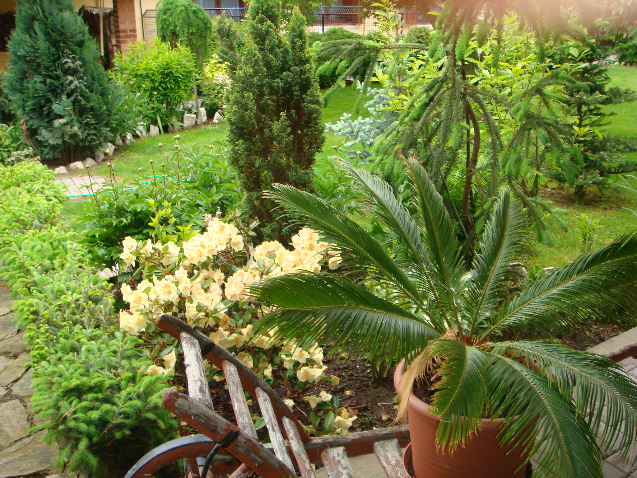 Penzion B&B Villa Filippa foto 3