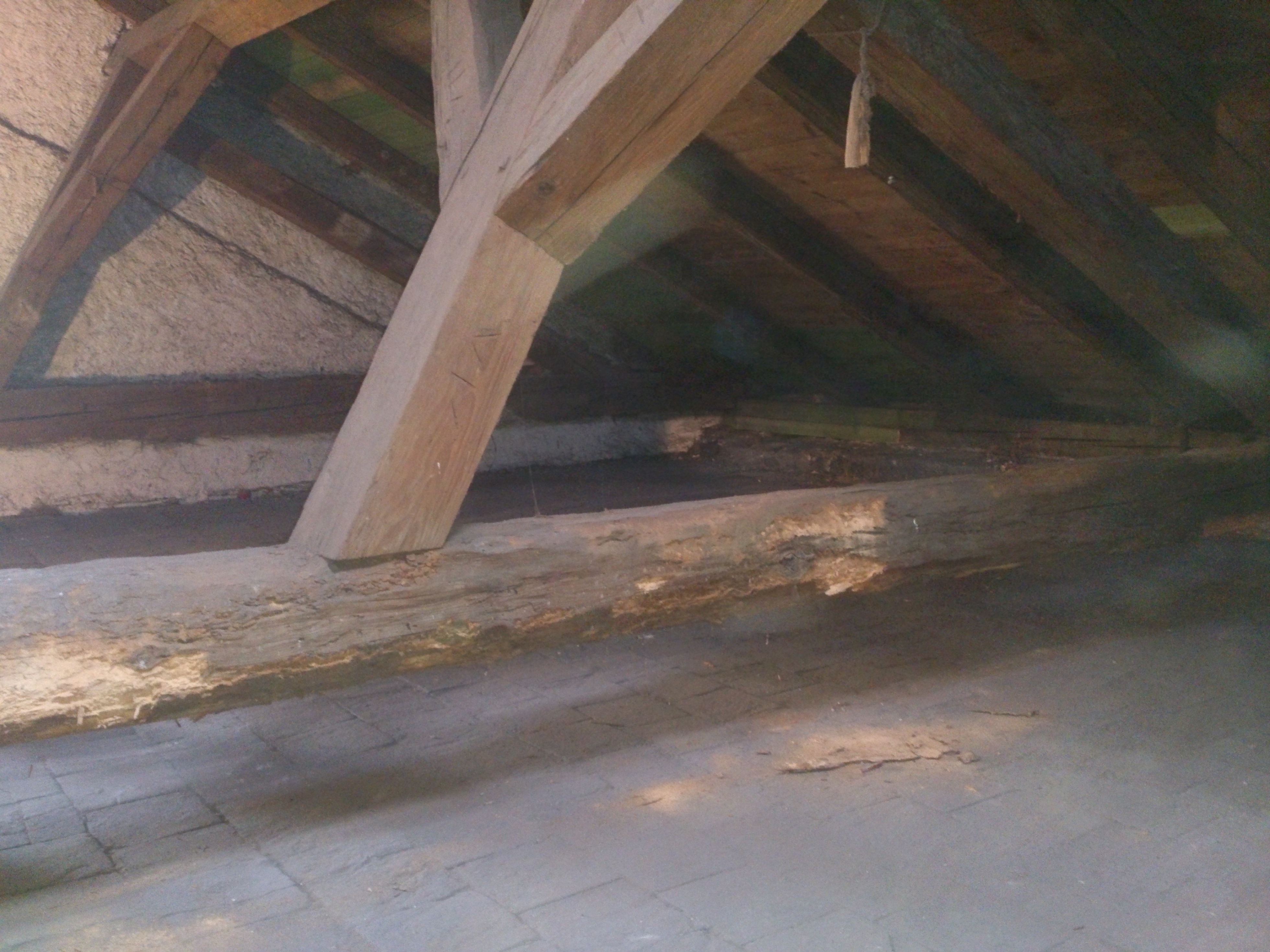 Miloš Holinka - chemická ochrana dřeva foto 3