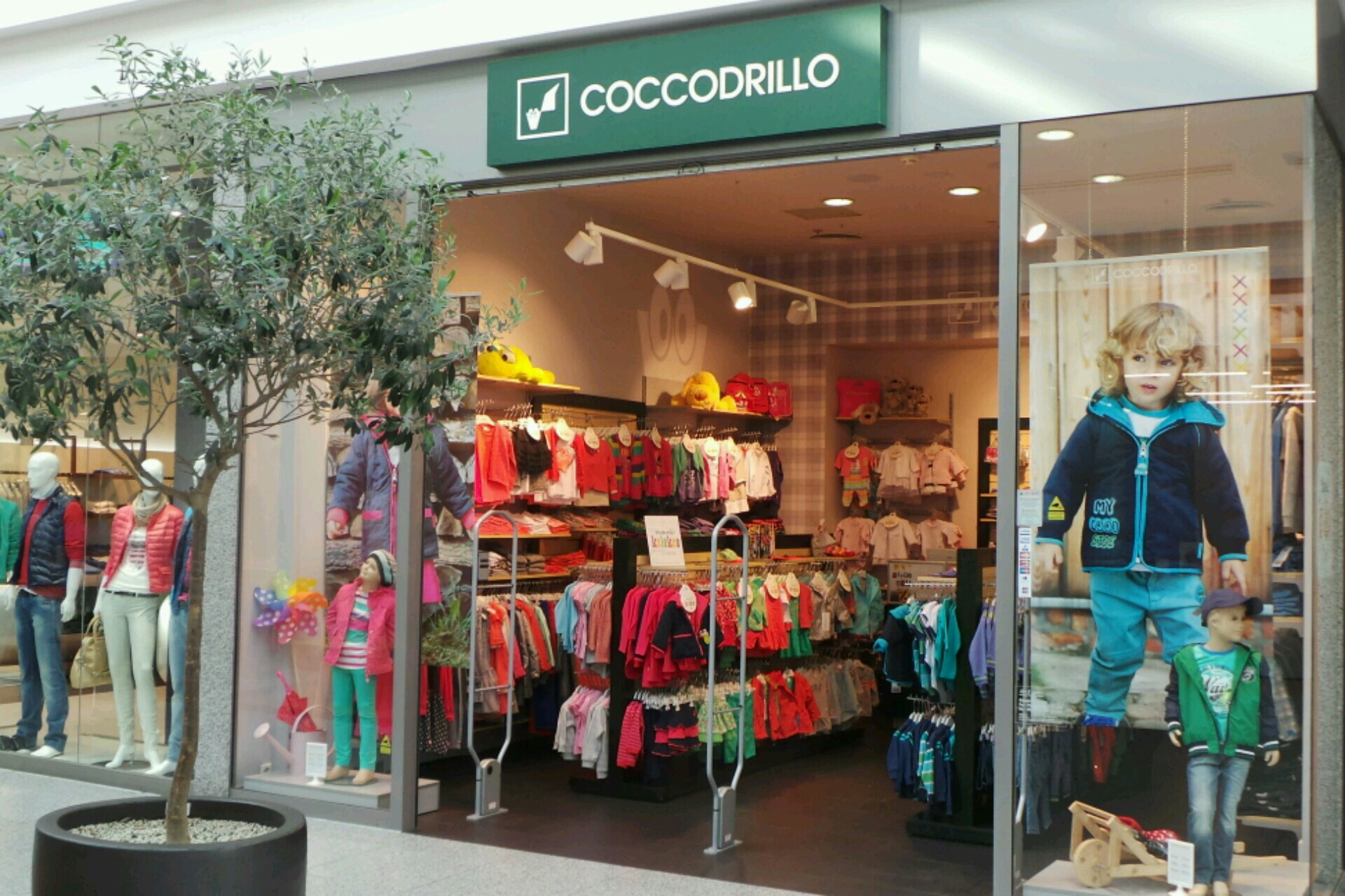 COCCODRILLO