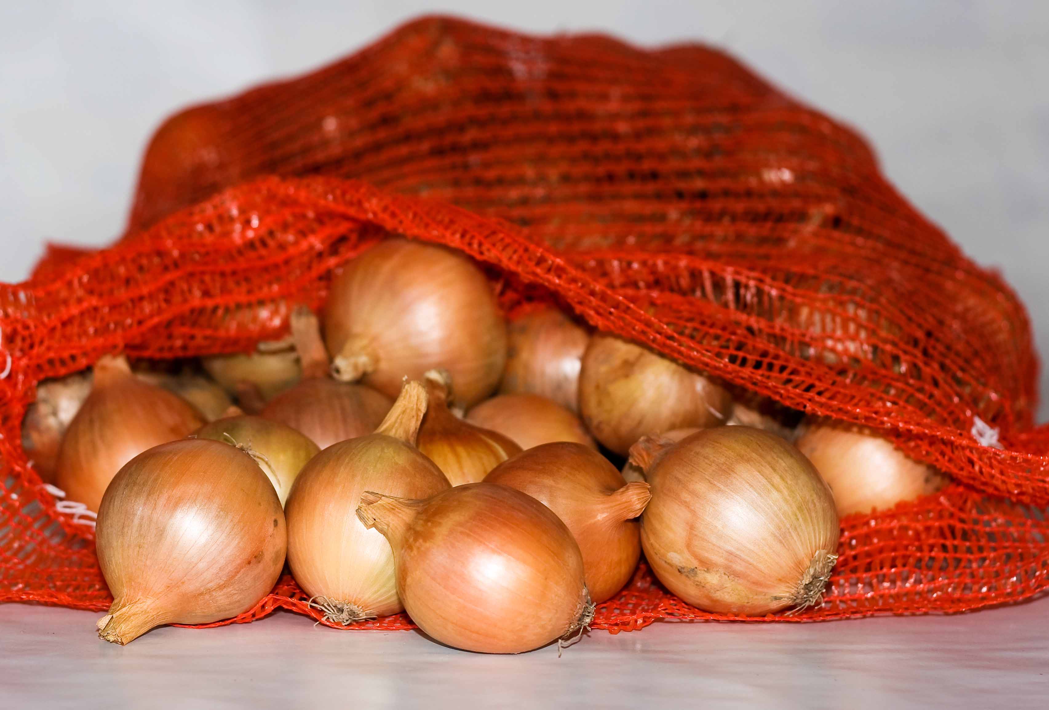 Zemědělské družstvo Všestary foto 3