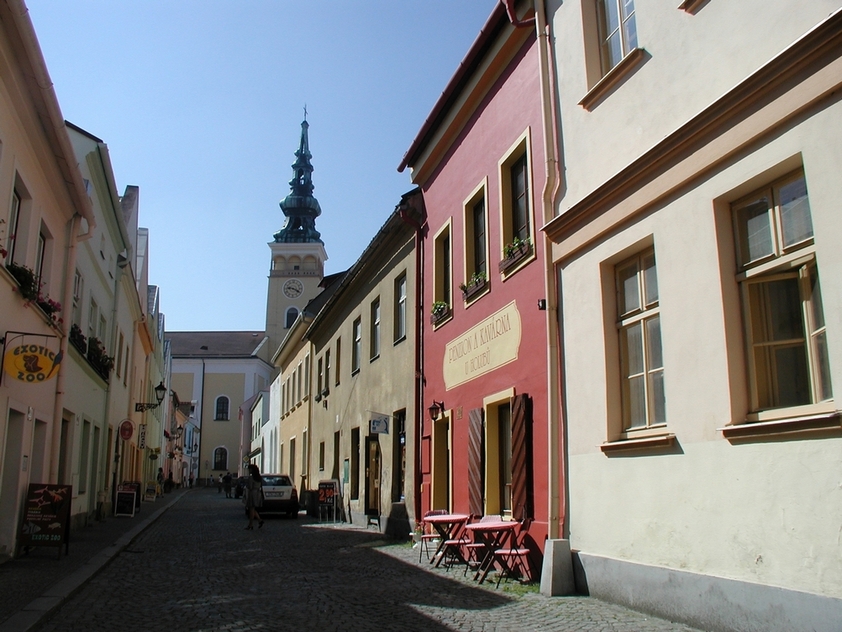 Penzion U Holubů Nový Jičín foto 4