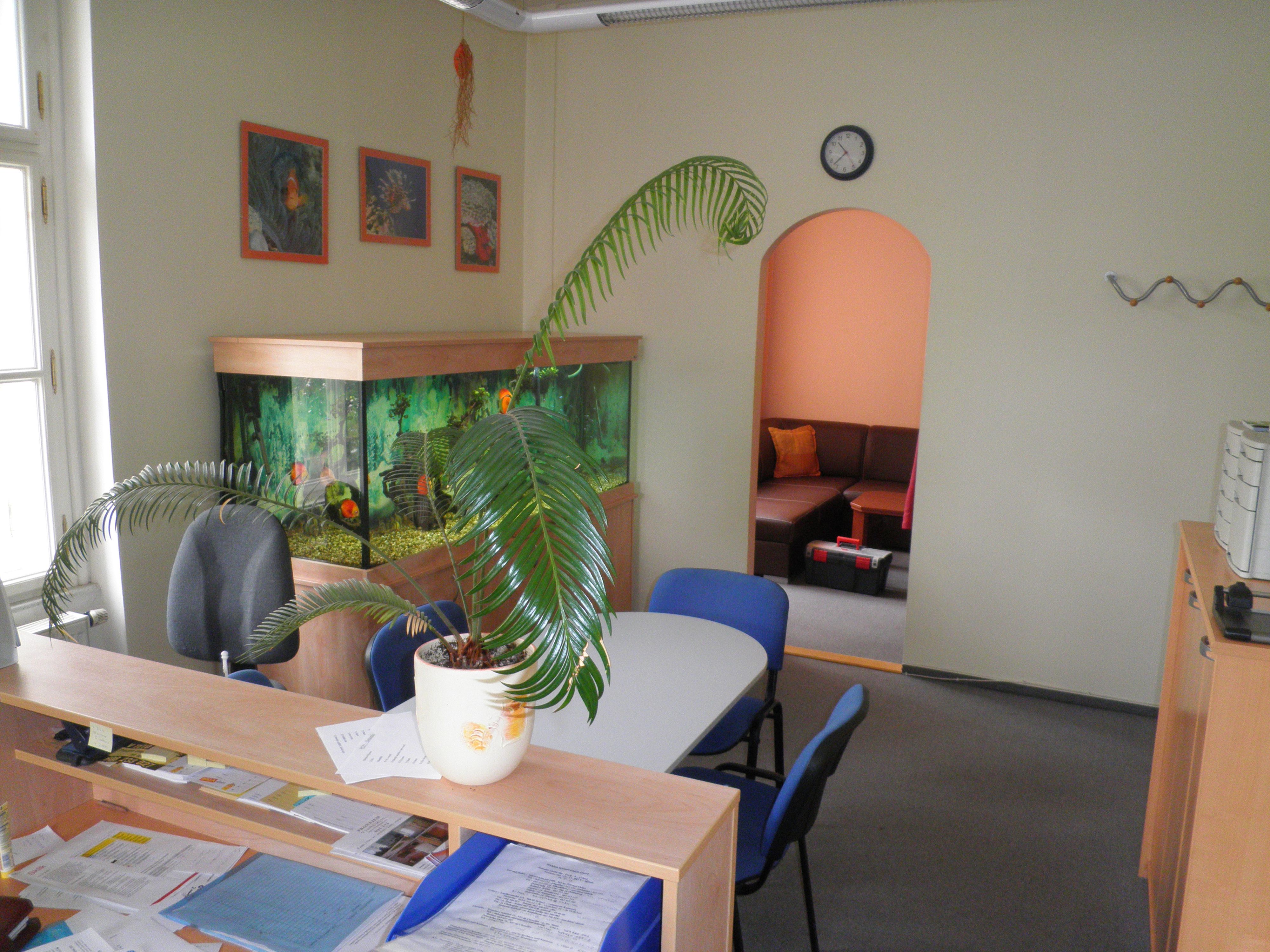 Realitní kancelář Pohoda foto 4