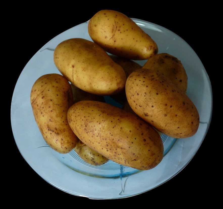 Frýdecká bramborárna, s.r.o. foto 4