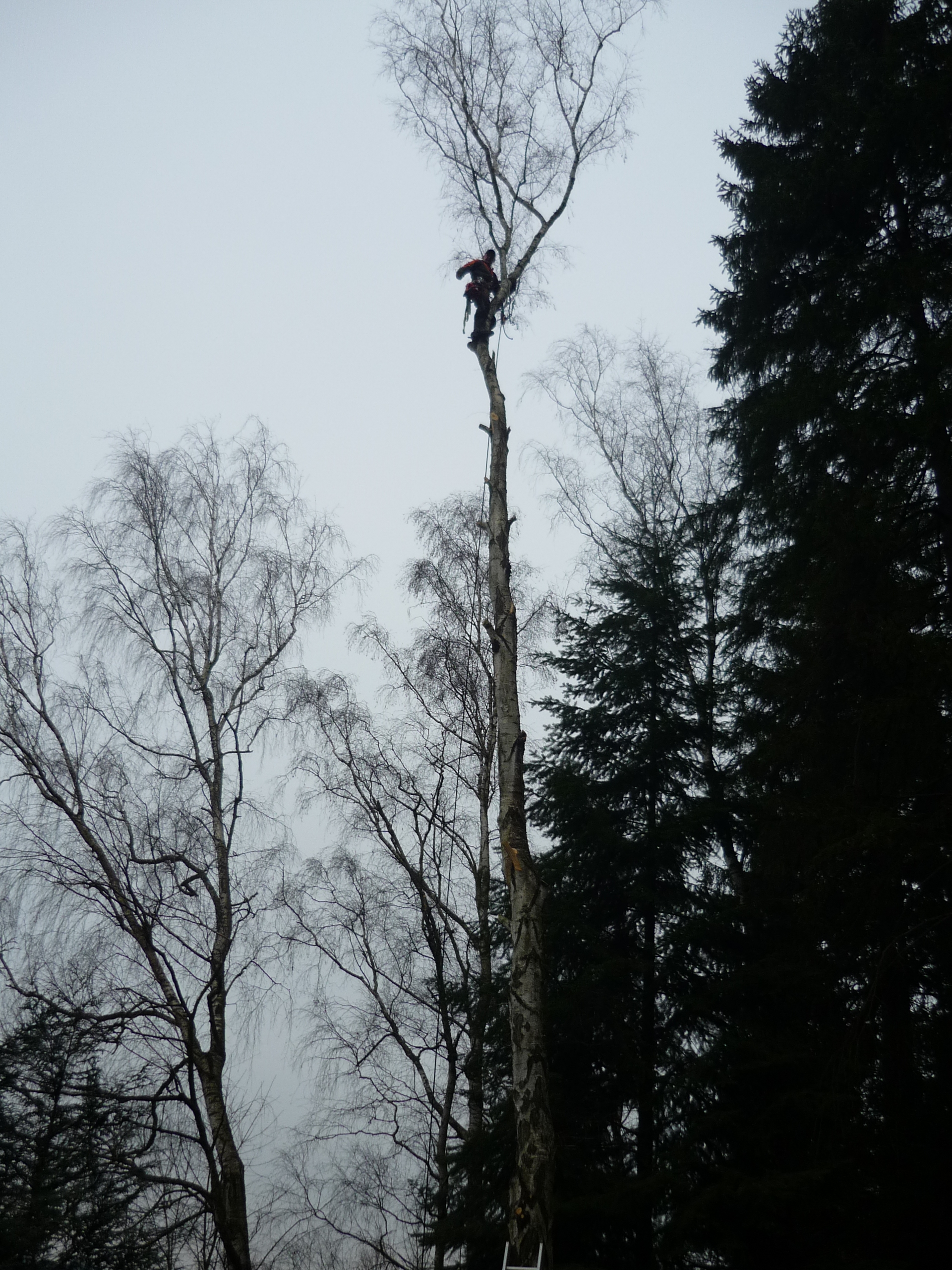 Výškové práce Roštík foto 3