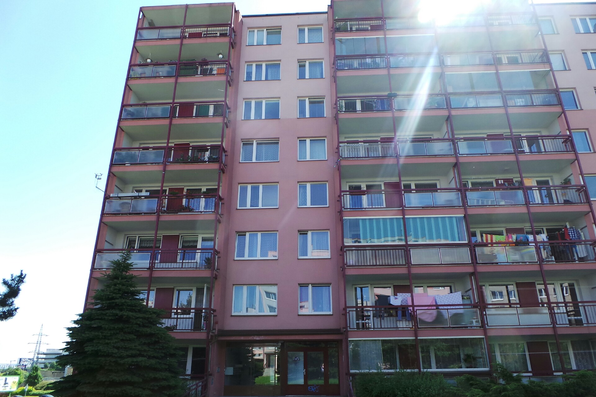 Asociace muskulárních dystrofiků v ČR, z. s. foto 2