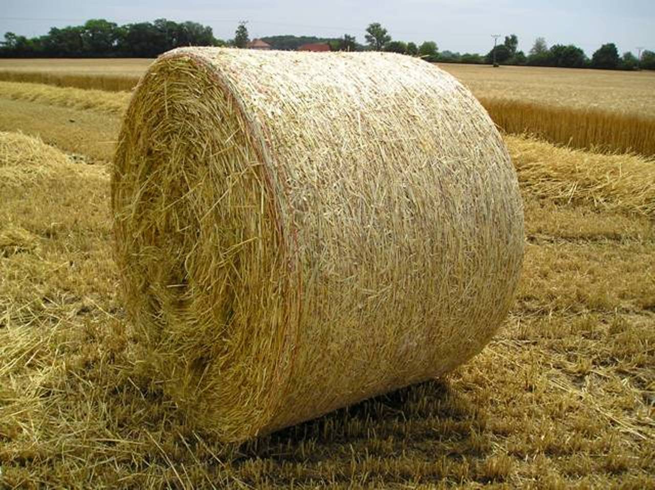 Farma Všechromy foto 2