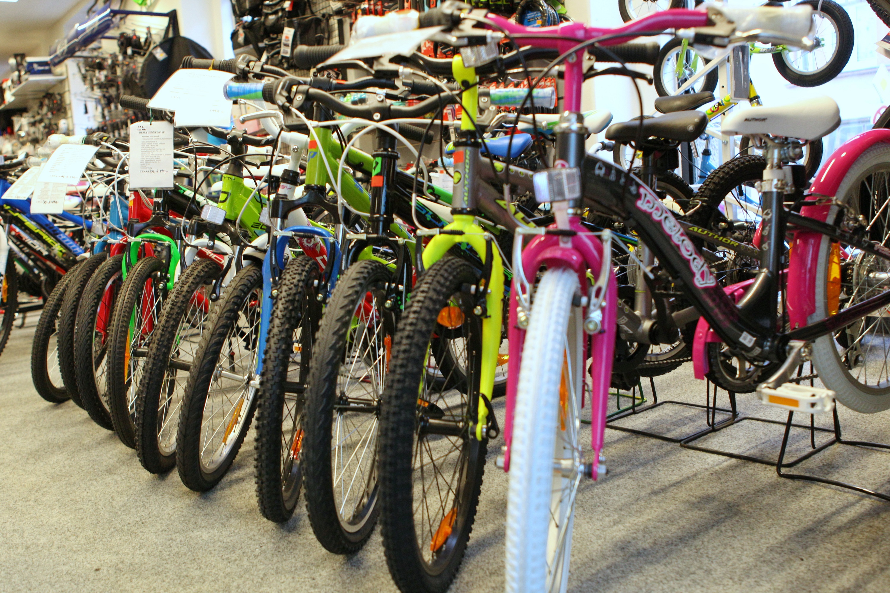 Sportflori.cz foto 2