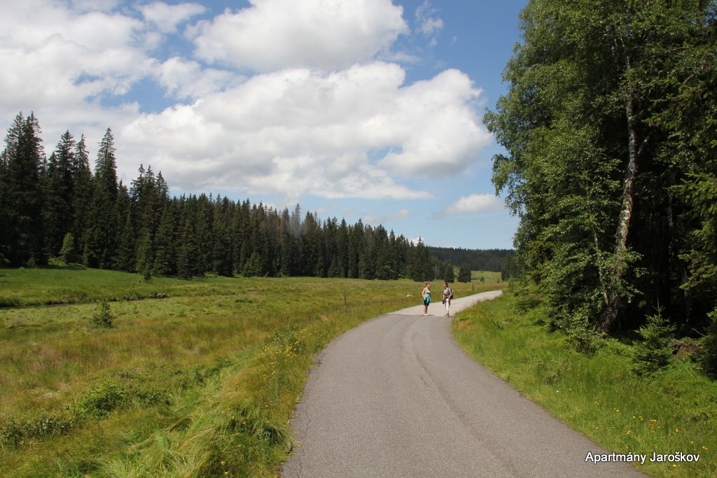 Apartmány - Šumava foto 5