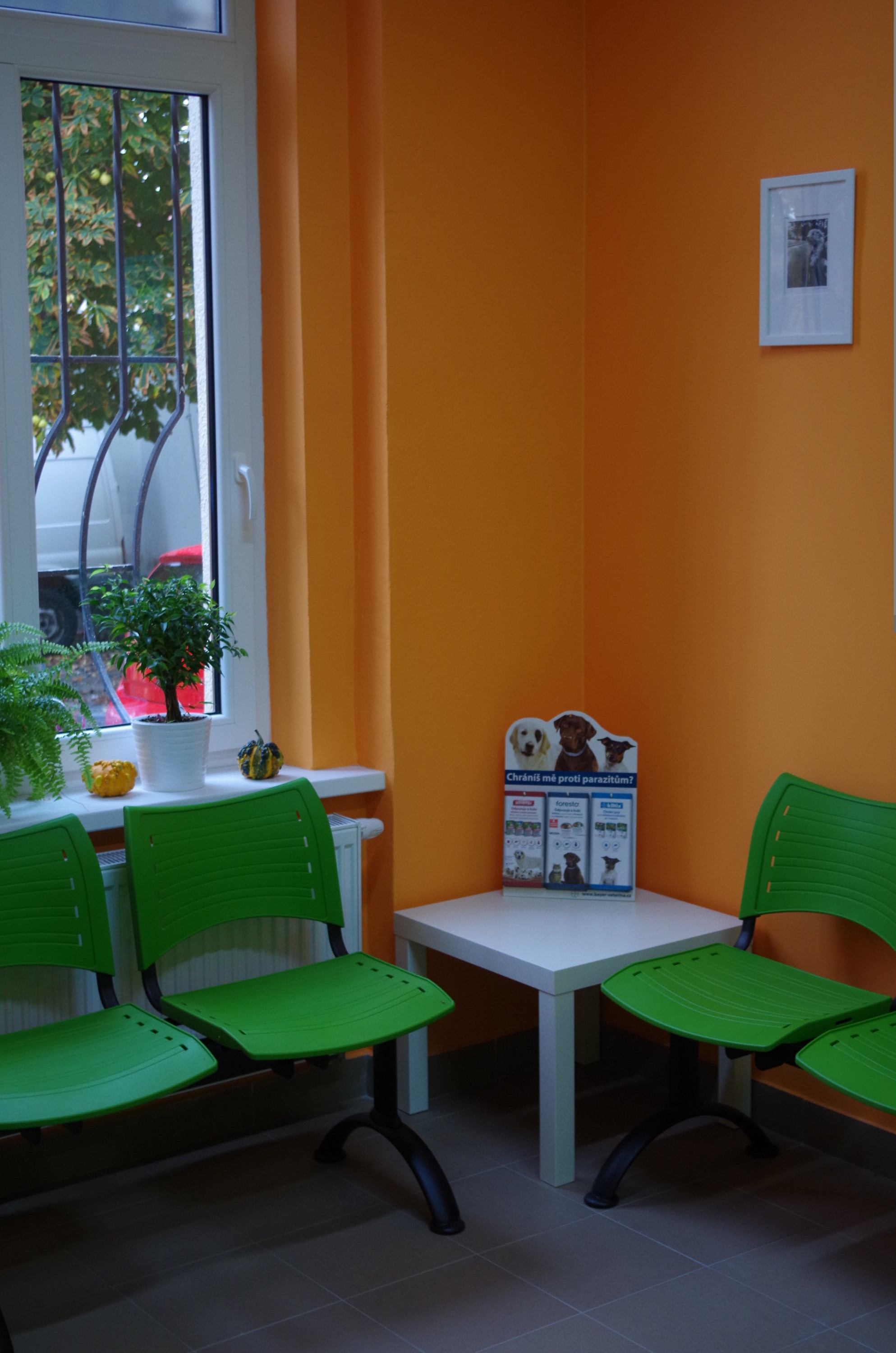 CaniVet - veterinární klinika Černošice foto 2