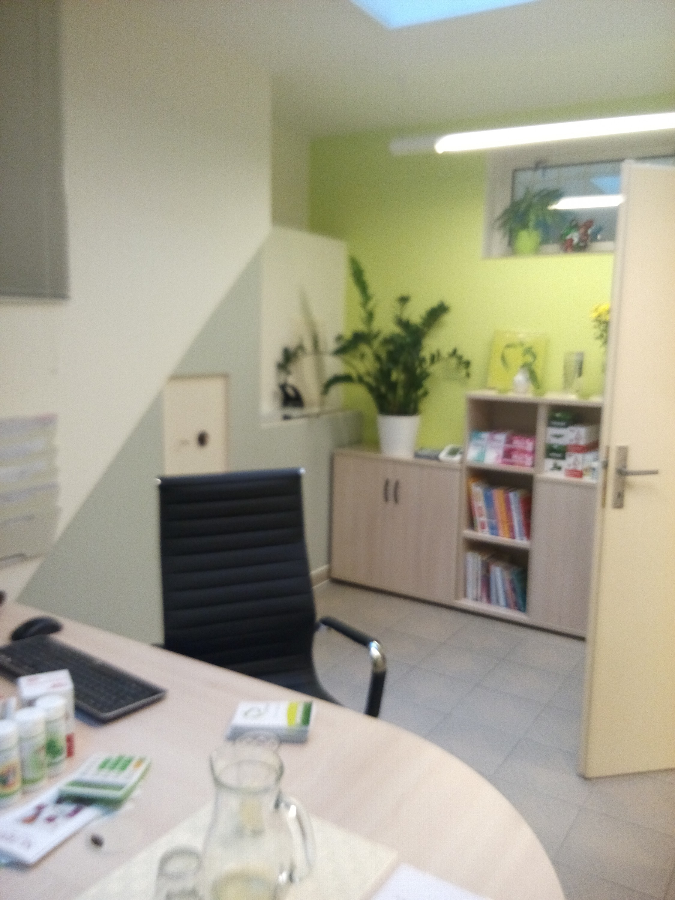 Dana Šímová, Danyslim foto 3