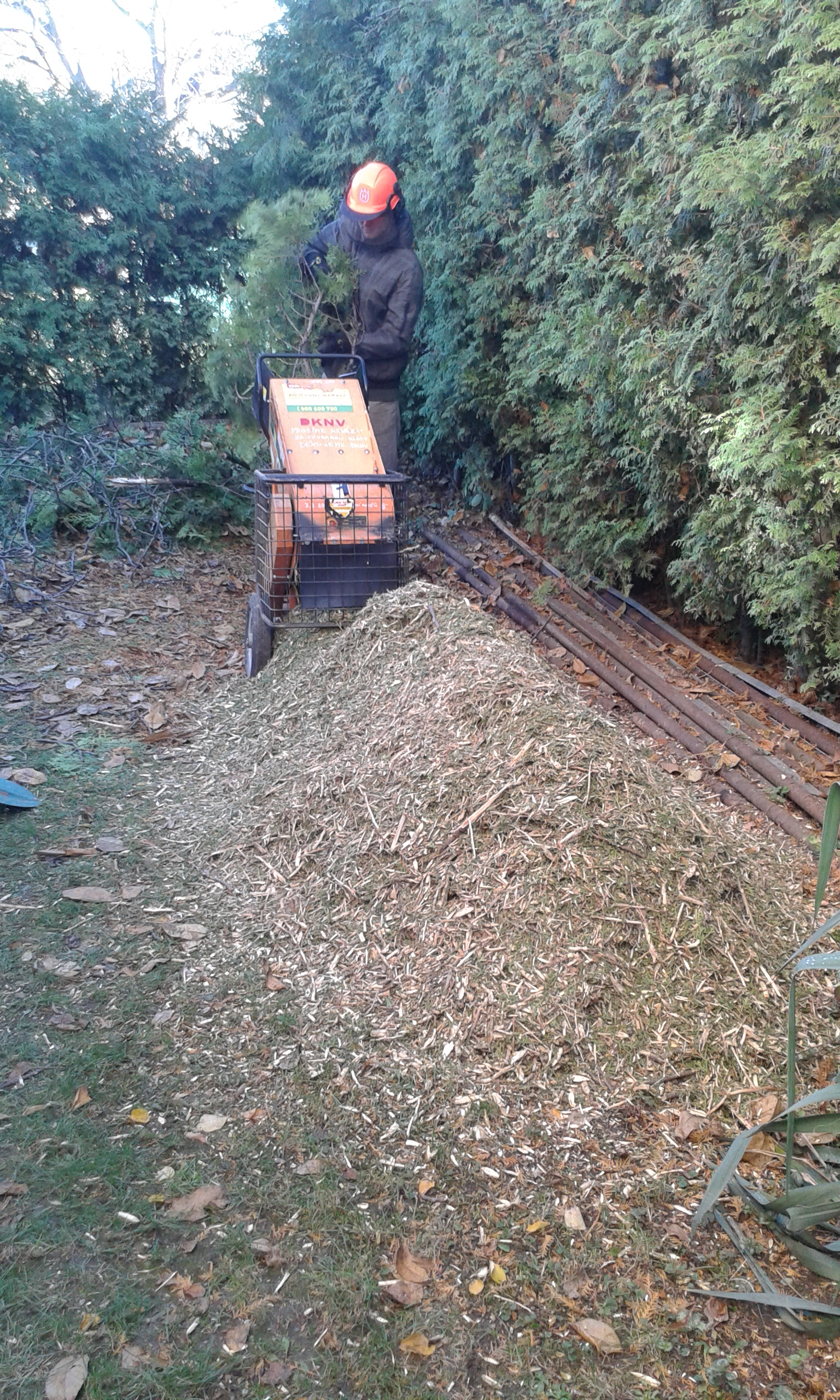 Dřevo a zem - Ing. Pavel Hlaváč foto 4