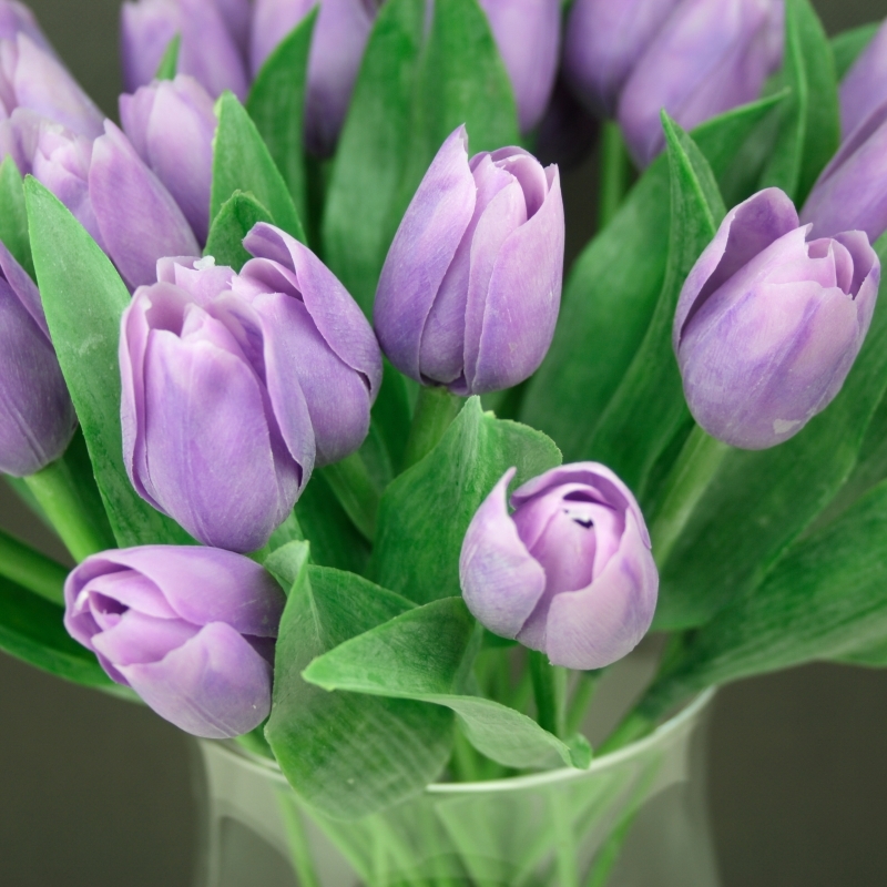 Novaline, s.r.o. foto 3