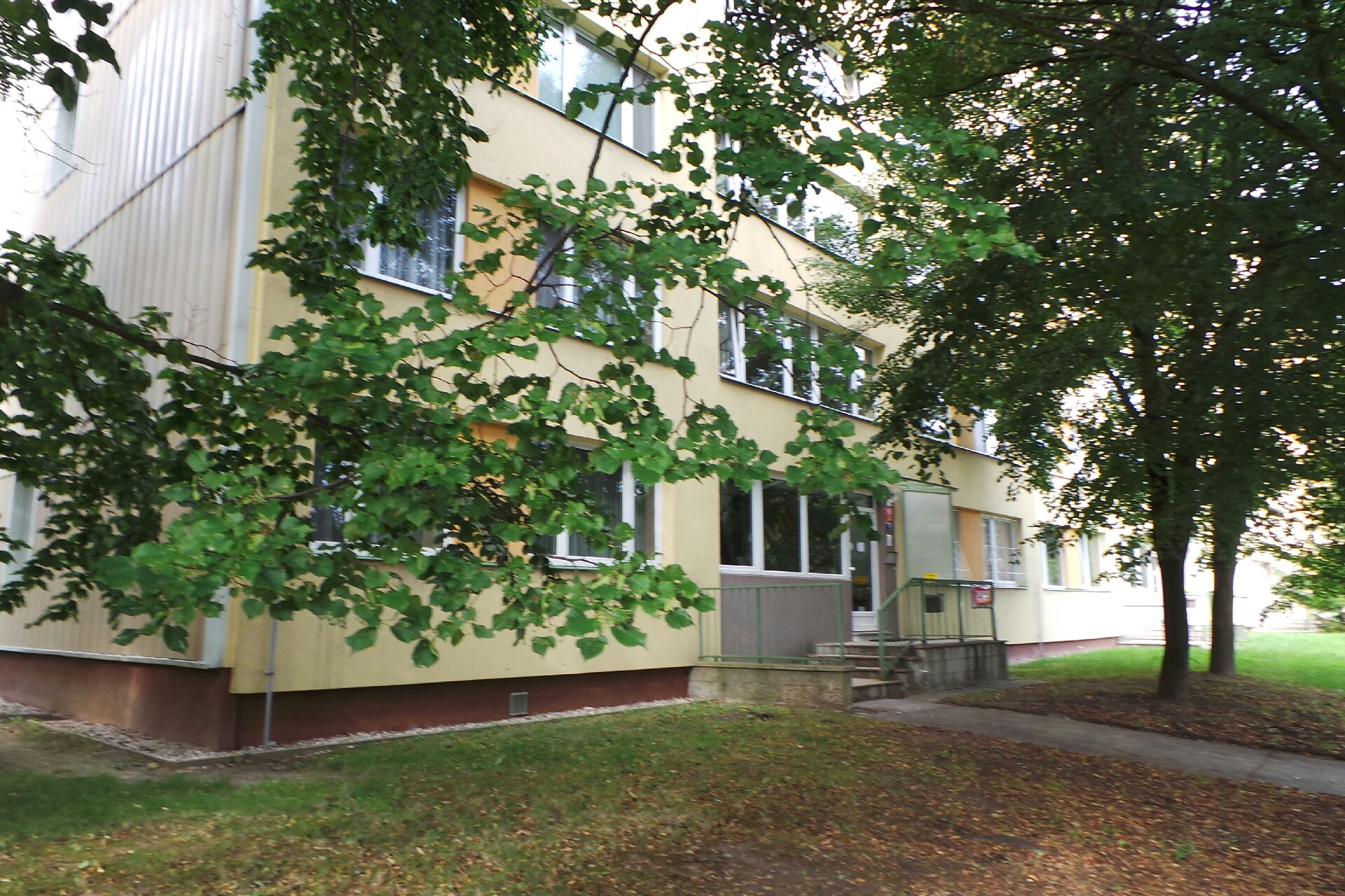 Hodinový manžel Jano