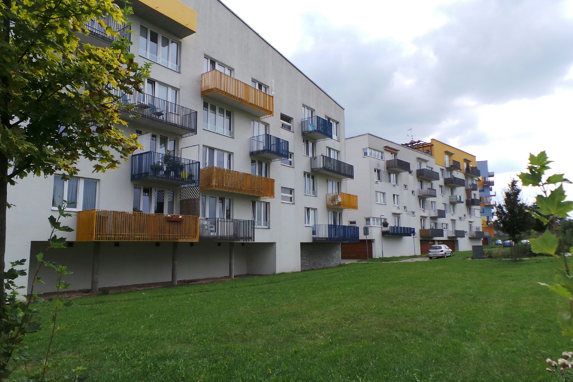 Lucie Libra Kamenárová