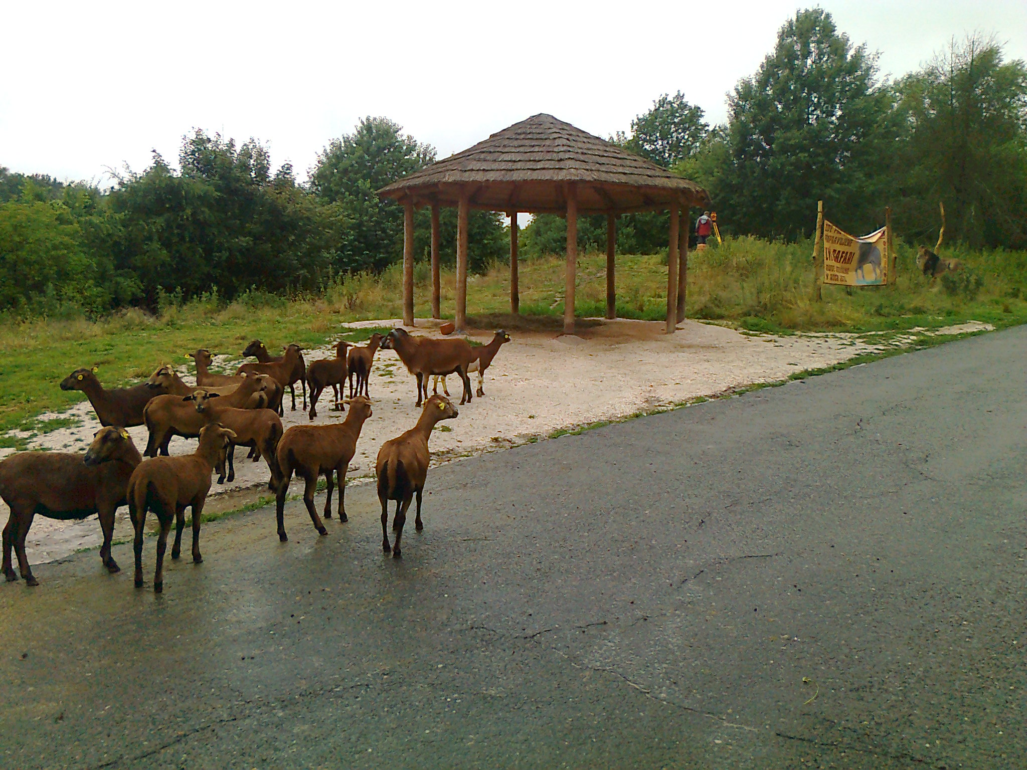 Geodézie Dvůr Králové s.r.o. foto 3