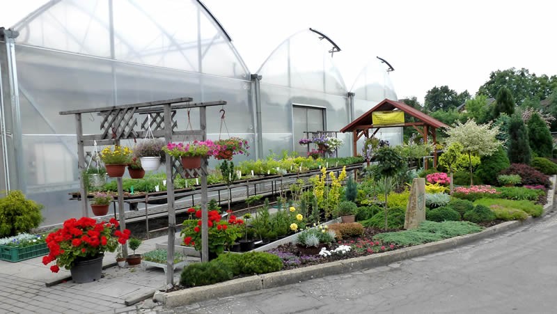 Zahradnictví Sládeček - Květena Opava foto 2