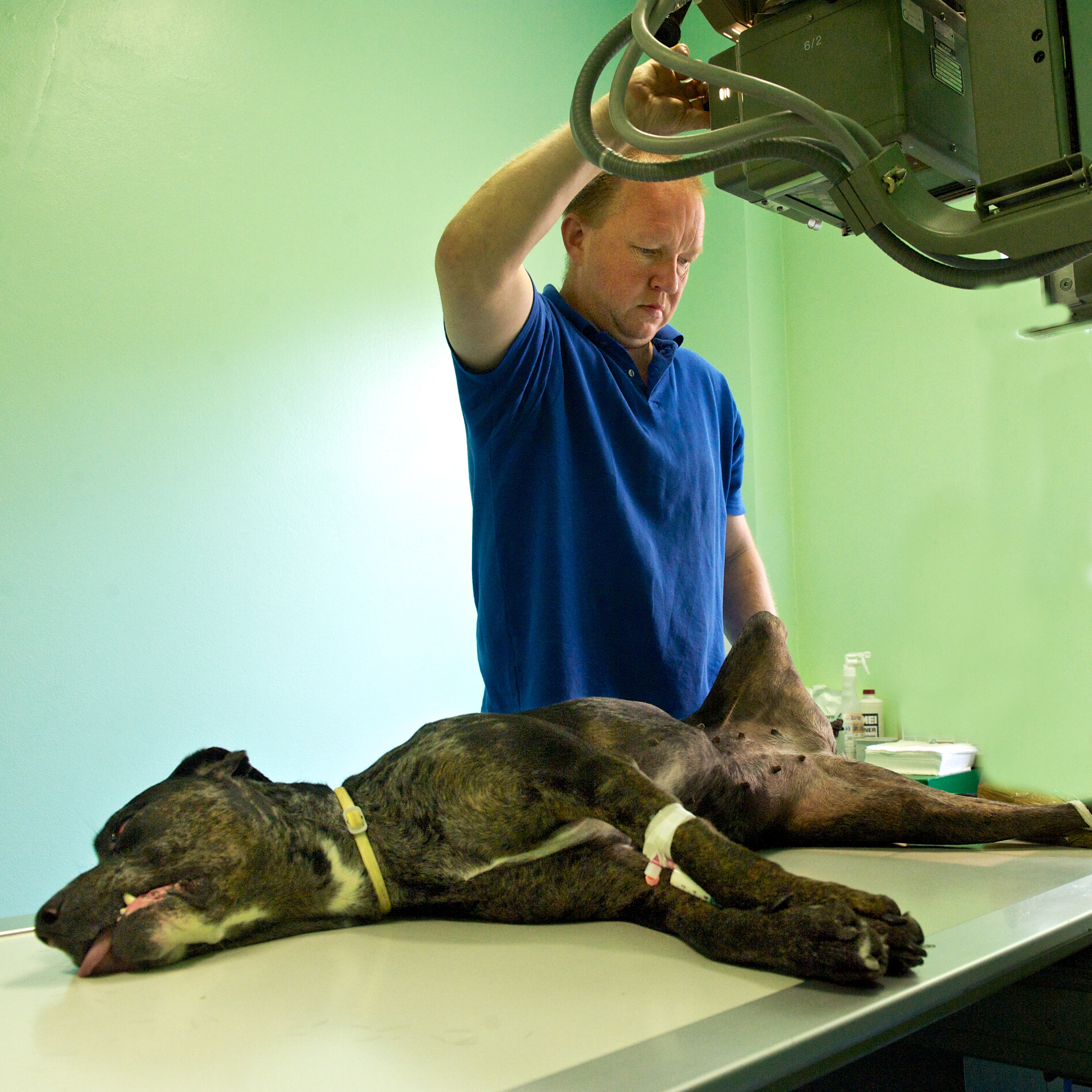 Veterinární klinika IVET foto 3