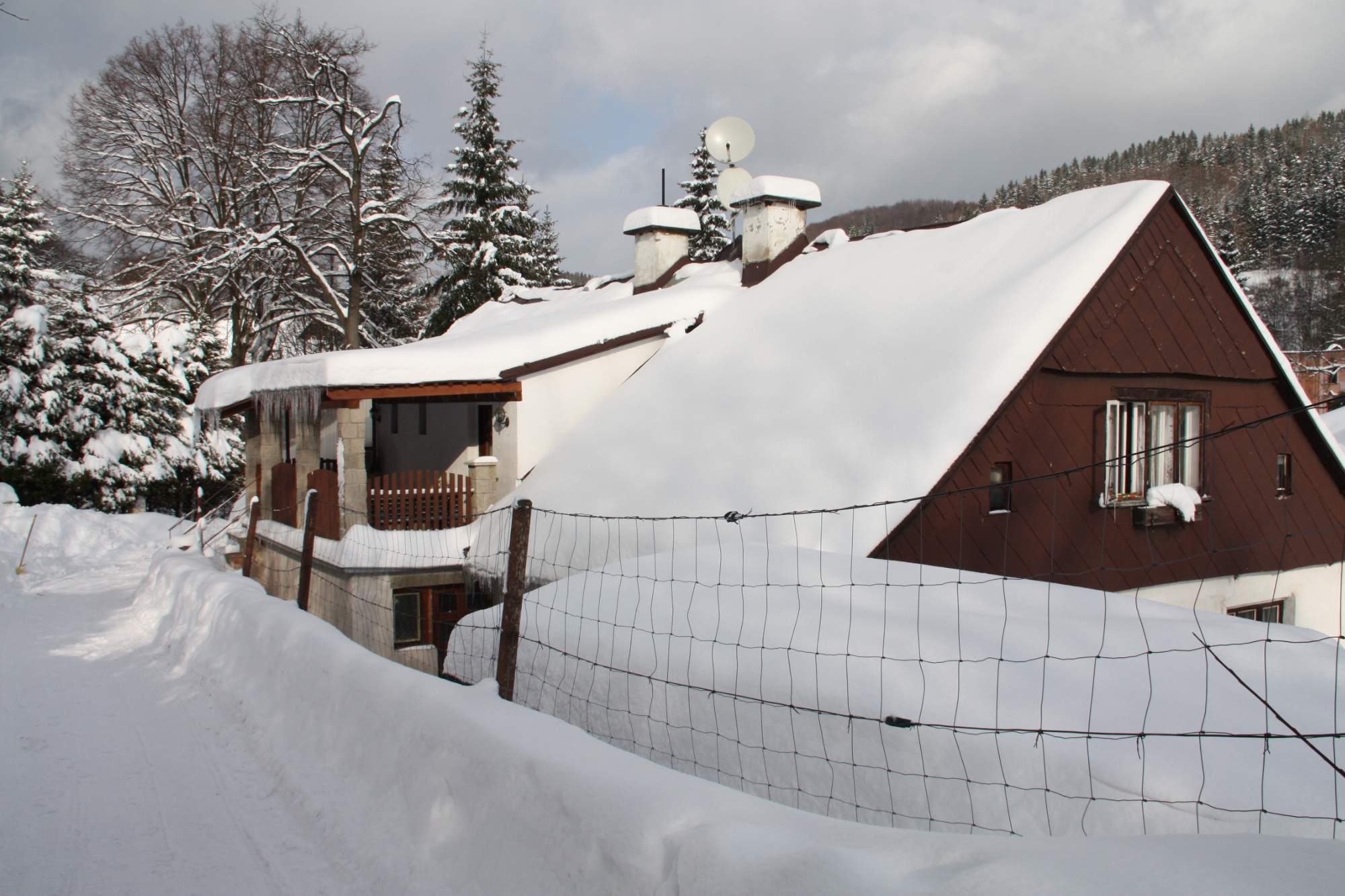 Apartmány U Školy foto 3