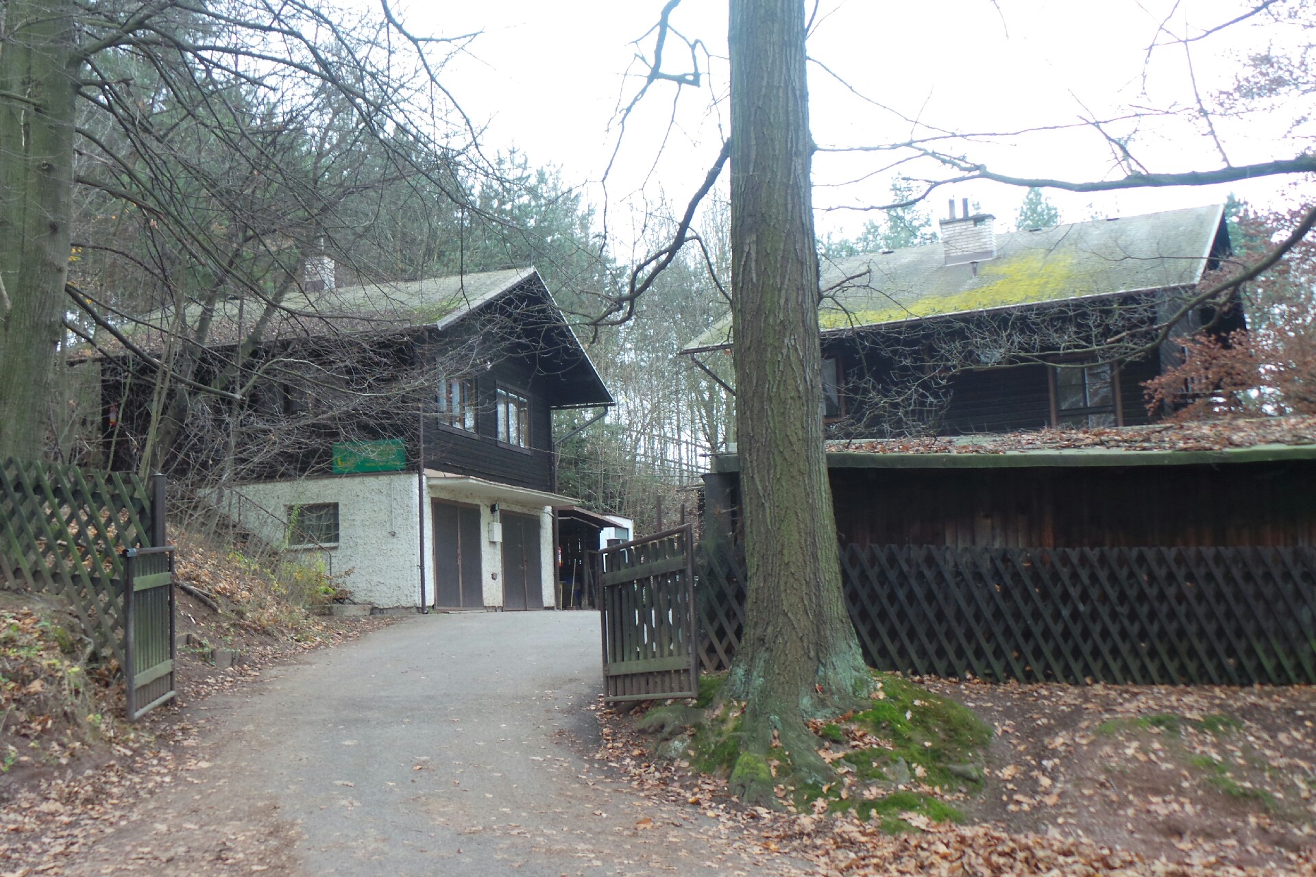 Lesy města Náchoda, spol. s r.o.