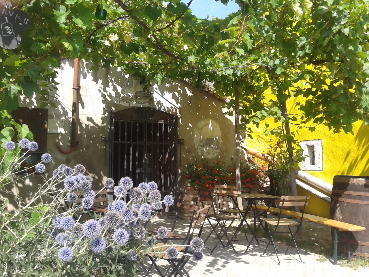 Vinařství Vilém Topolanský