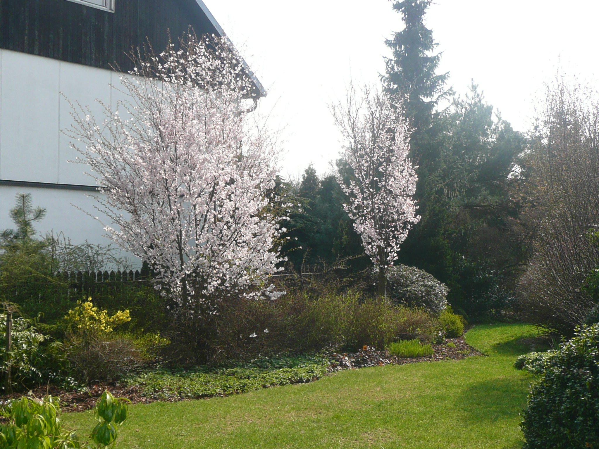 Martin Míček, DiS. foto 5