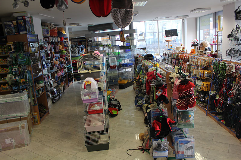 Pet Planet foto 5