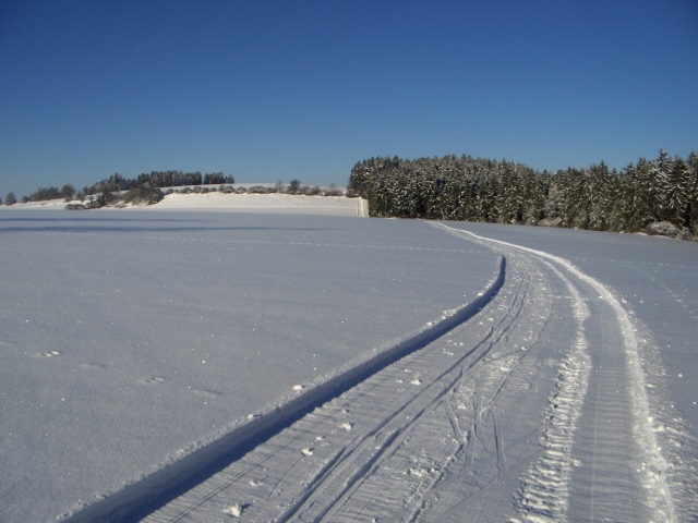 Sportovní klub Pastviny Radiměř foto 3