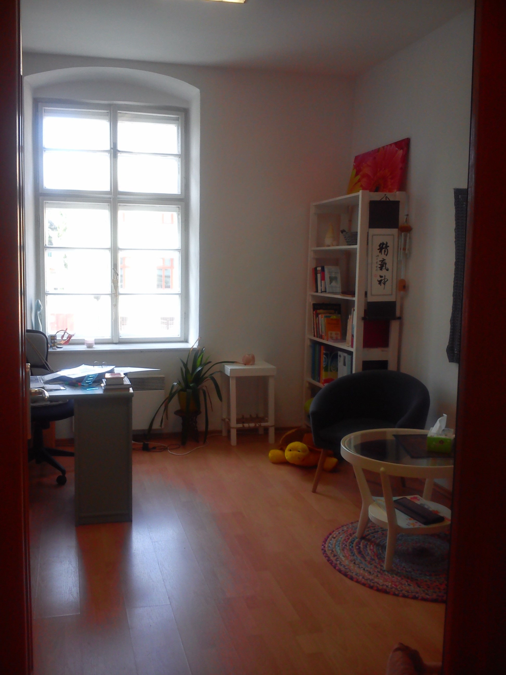 Ing. Šárka Vondrů - homeopatická poradna BALANCE foto 3