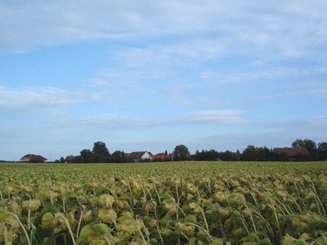 Kněžičky - obecní úřad foto 5