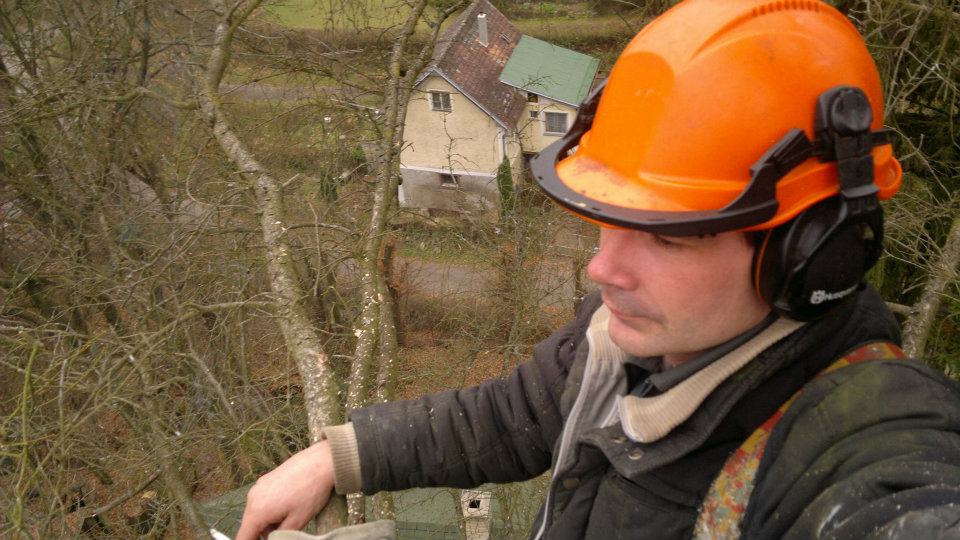 Radomír Ječmínek - rizikové kácení