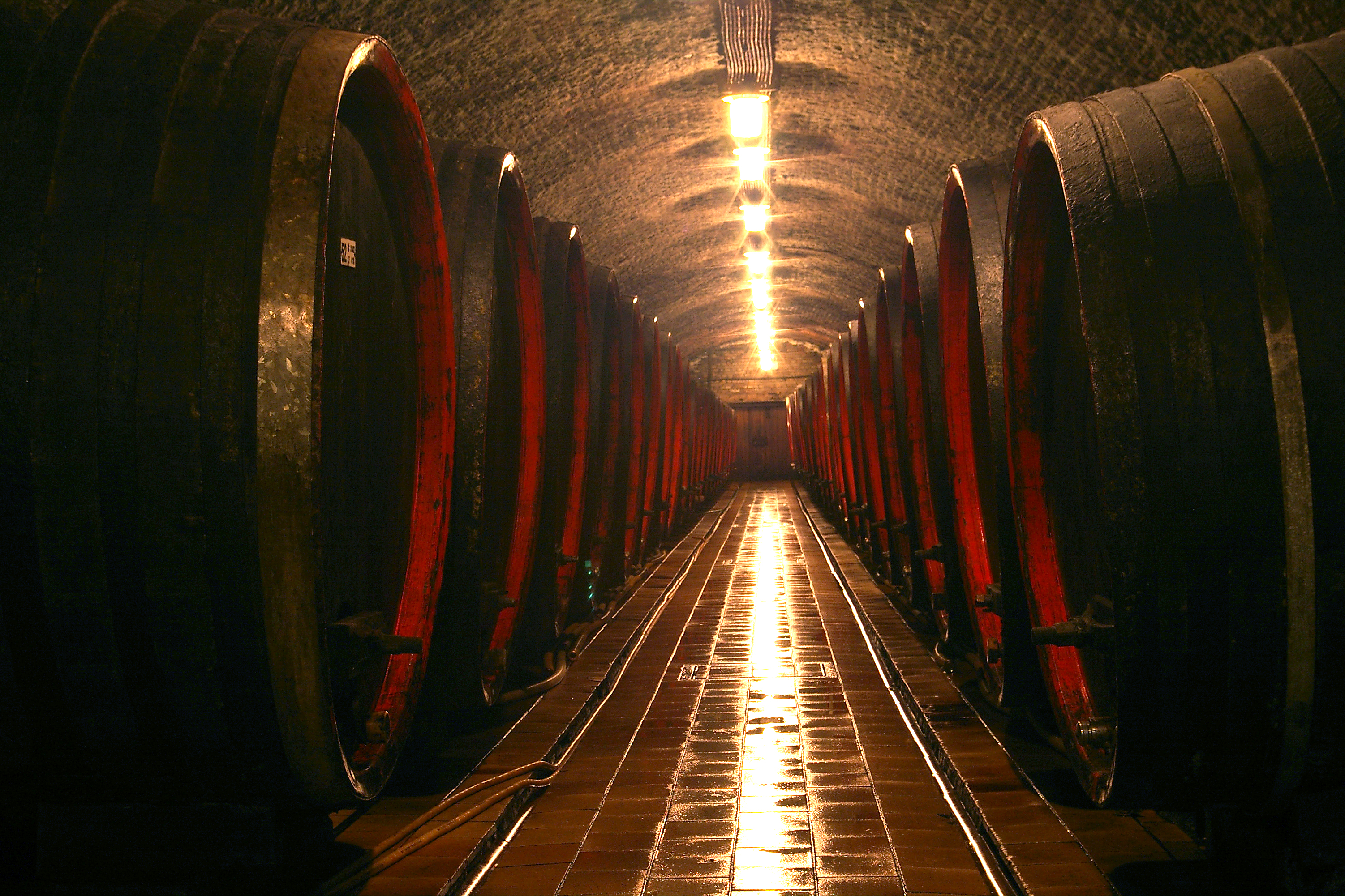 CHÂTEAU VALTICE - Vinné sklepy Valtice foto 2