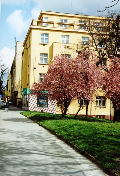 Mgr. Jana Tošovská, Ph.D. foto 3