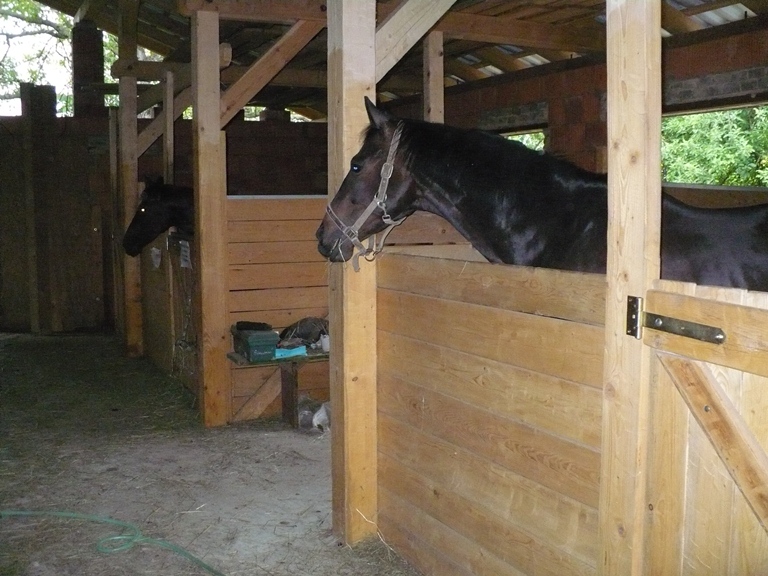 Ranč Bílá skála foto 4