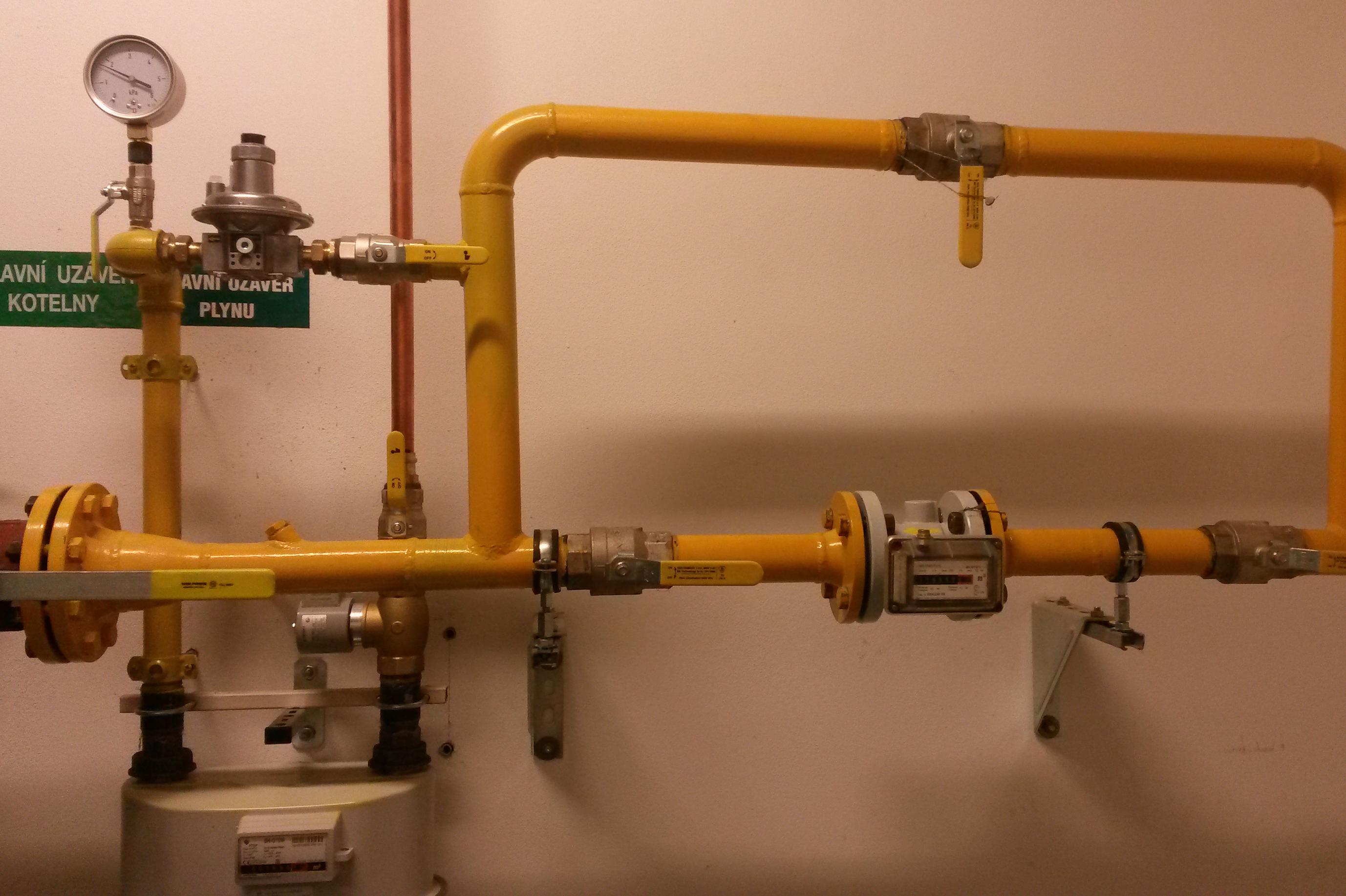 Ing. Lucie Kozlíková