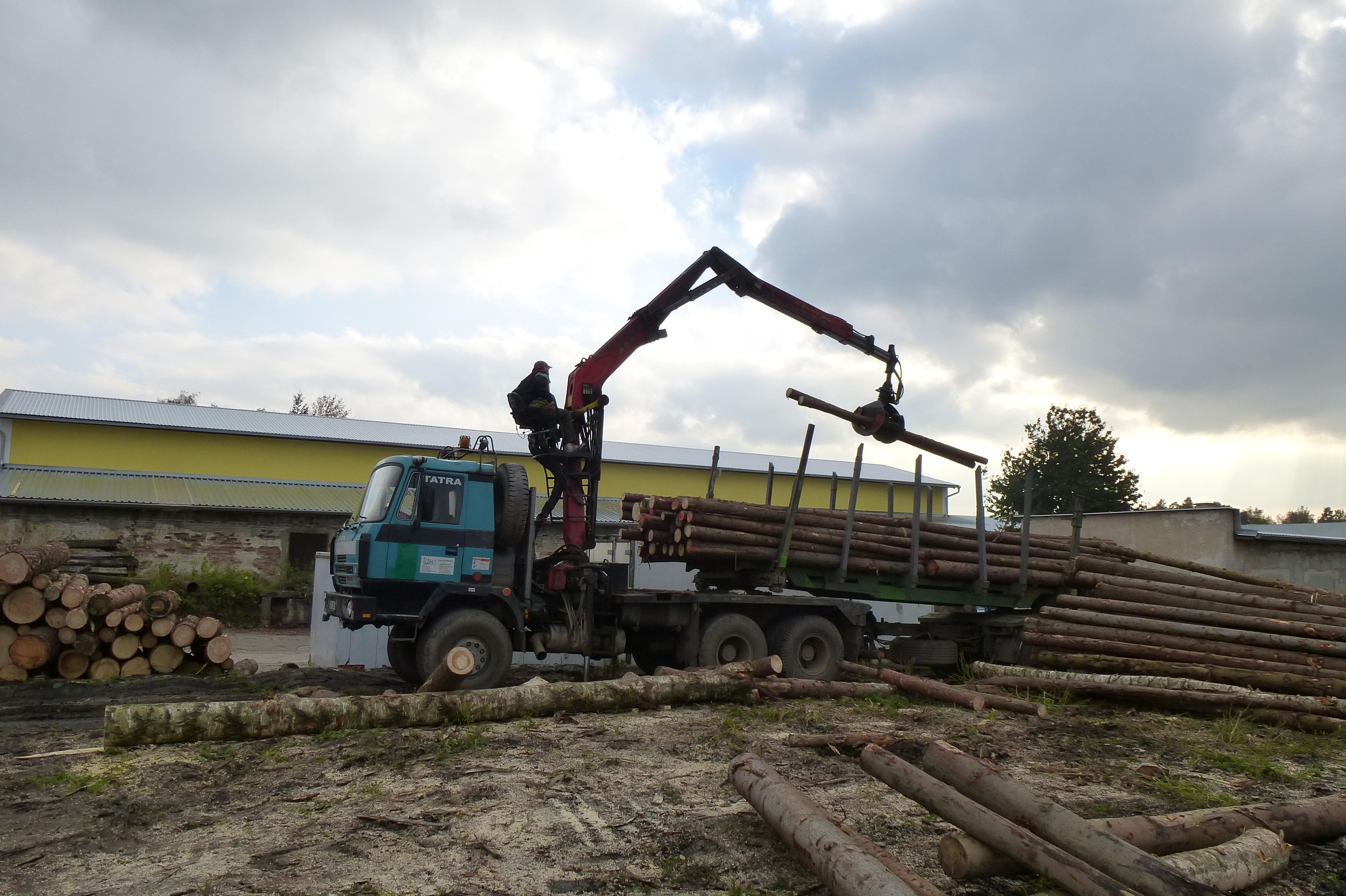 PALIVOVÉ DŘÍVÍ - Ing. Jan Mrázek foto 1