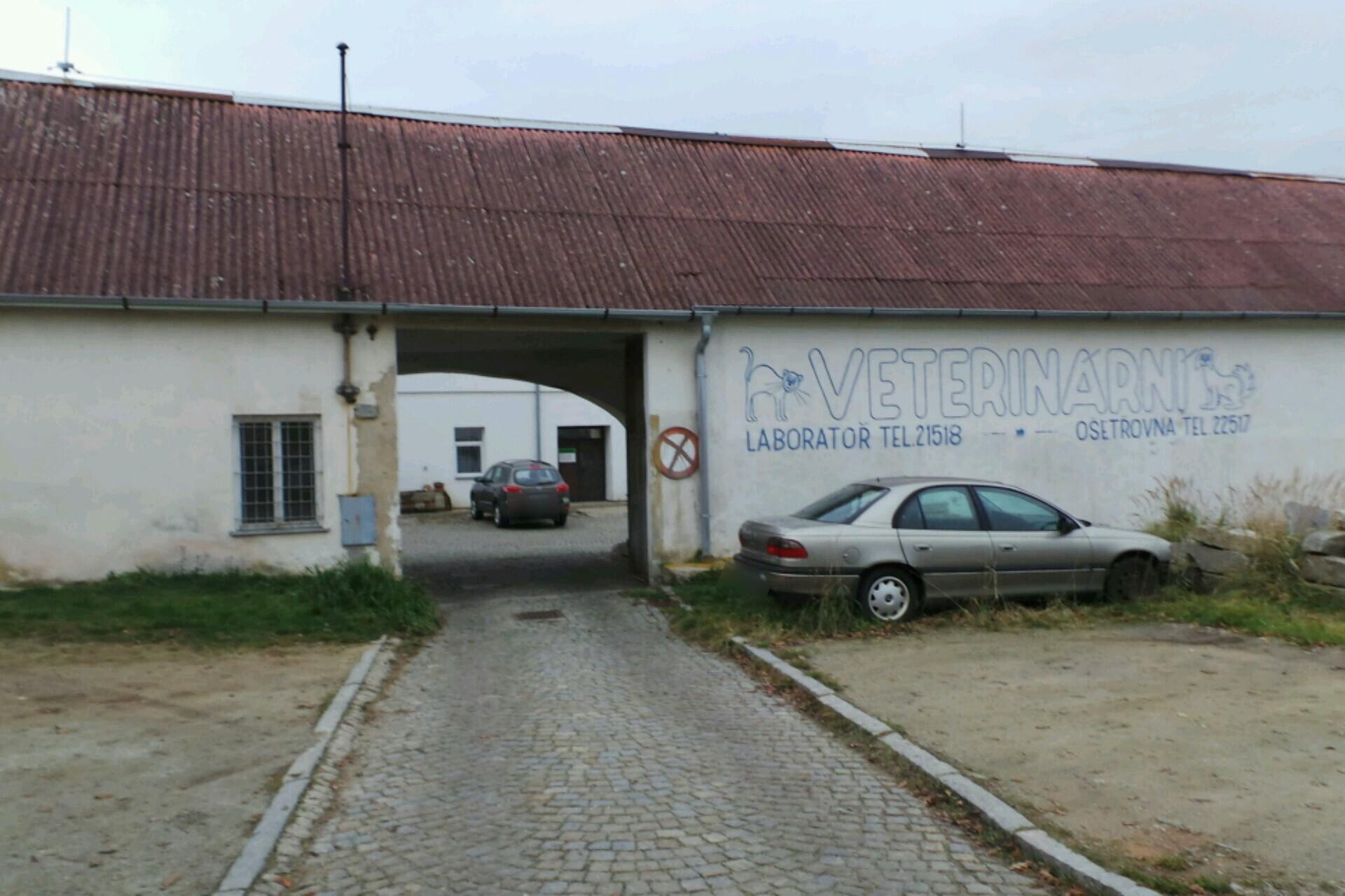 Stříhání psů - Alena Šulová