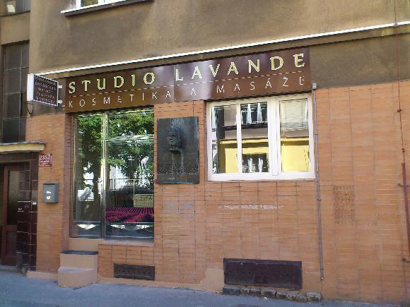 STUDIO LAVANDE foto 2