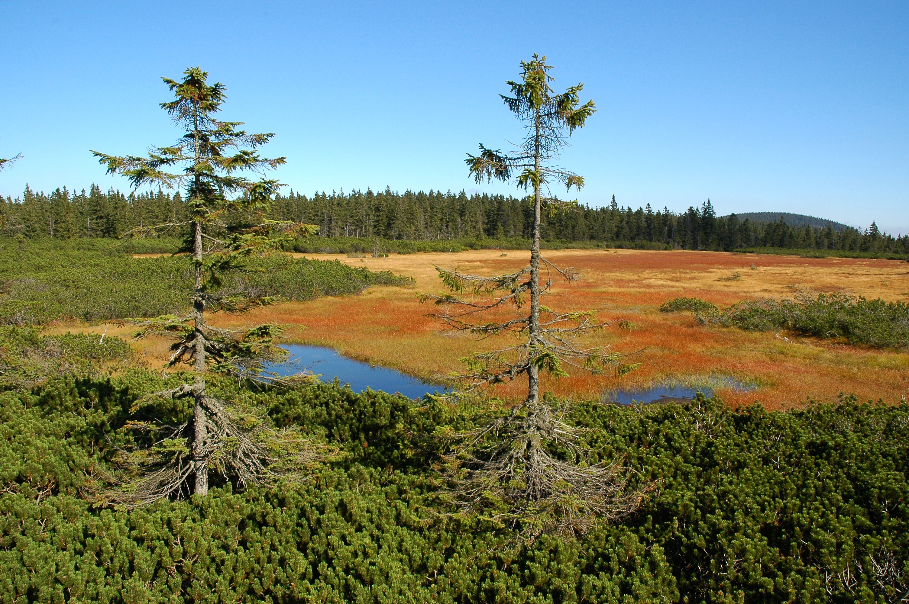 SkiResort Infocentrum Janské Lázně foto 3