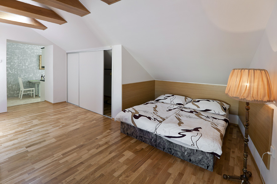 Pension Čížek foto 4