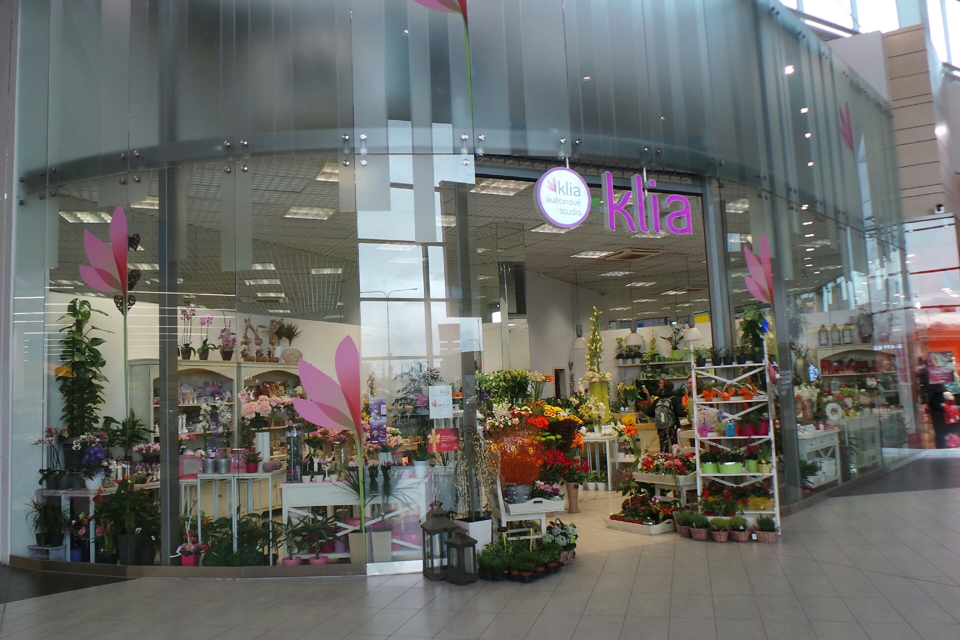 Kvĕtinové studio Klia