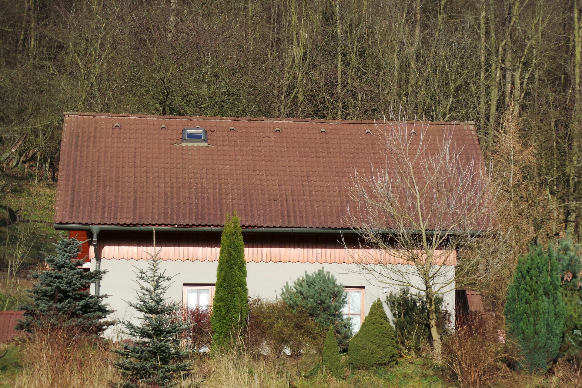 Michaela Šanderová