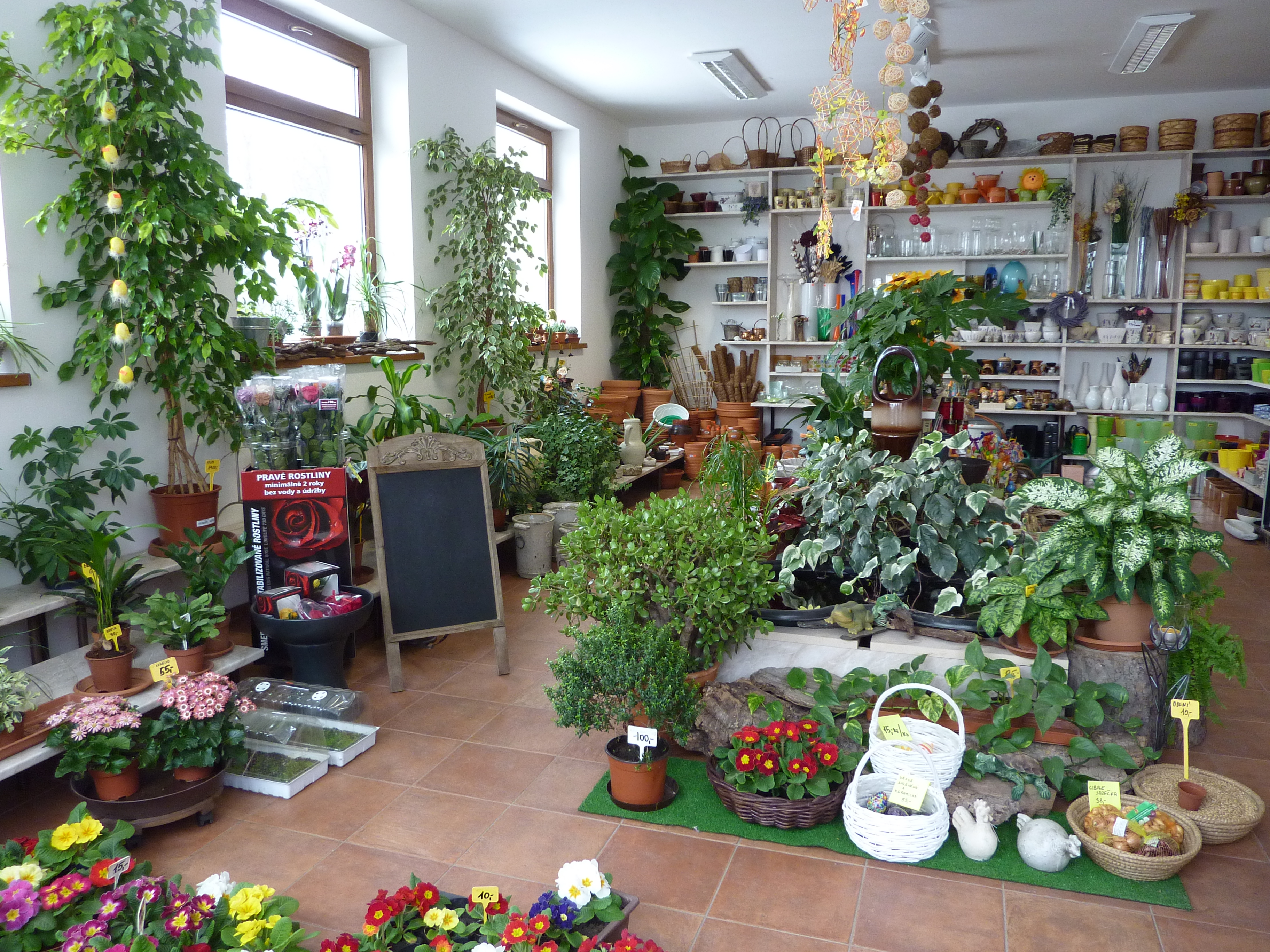 Zahradnictví - Ing. Šťastný foto 2