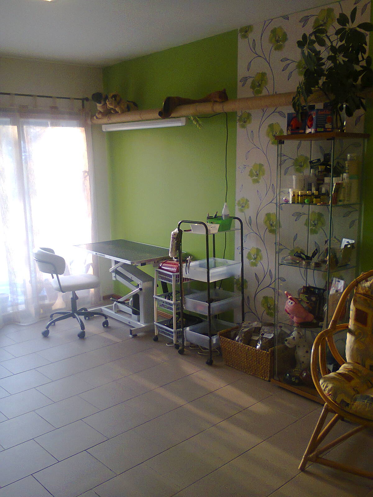 Styling psů Brno foto 4