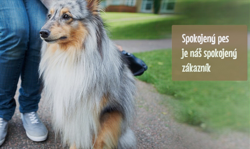 Venčení psů Praha foto 4