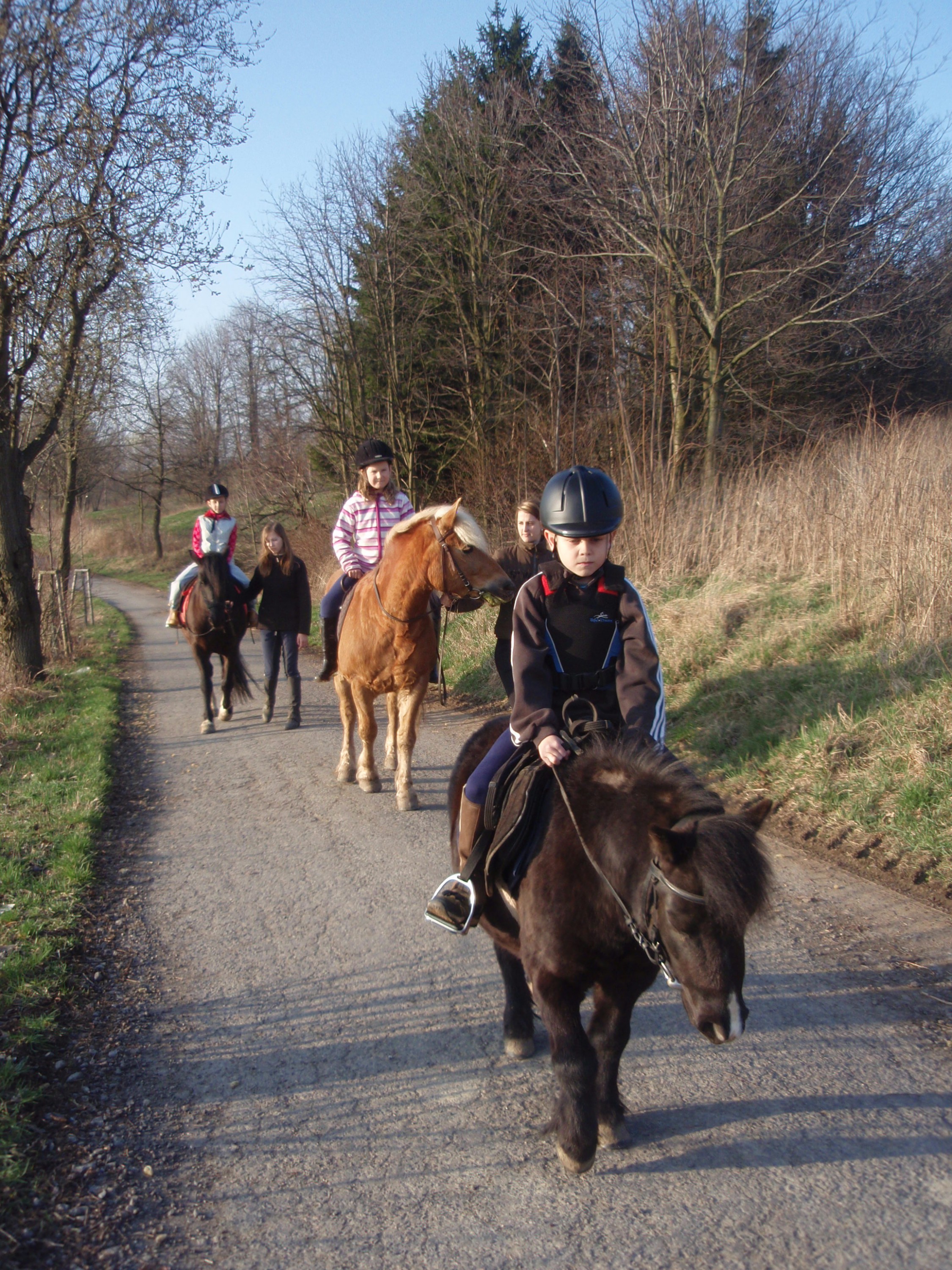 JEZDECKÝ KLUB LIPKA foto 4