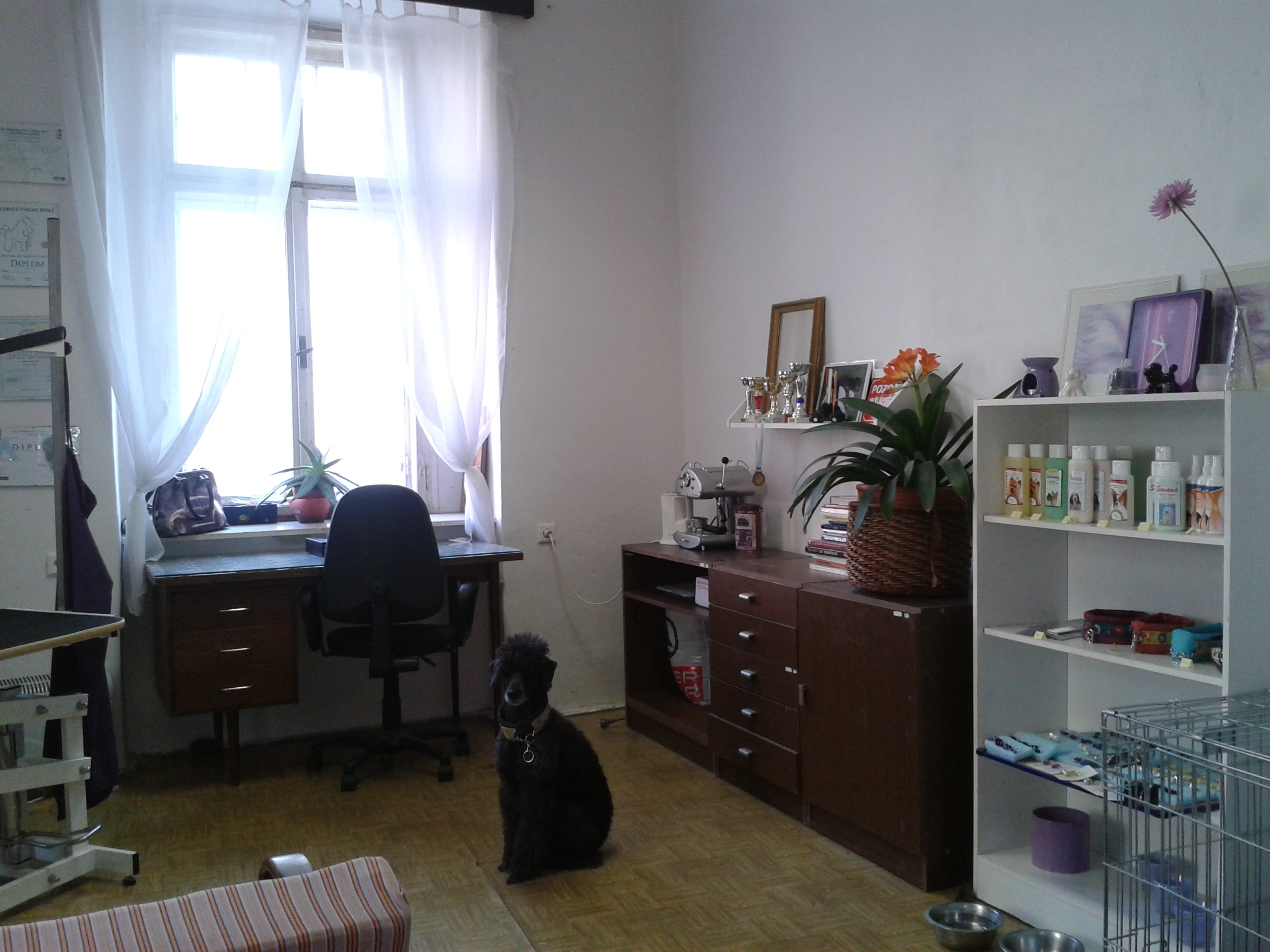 Salon Taťána foto 2