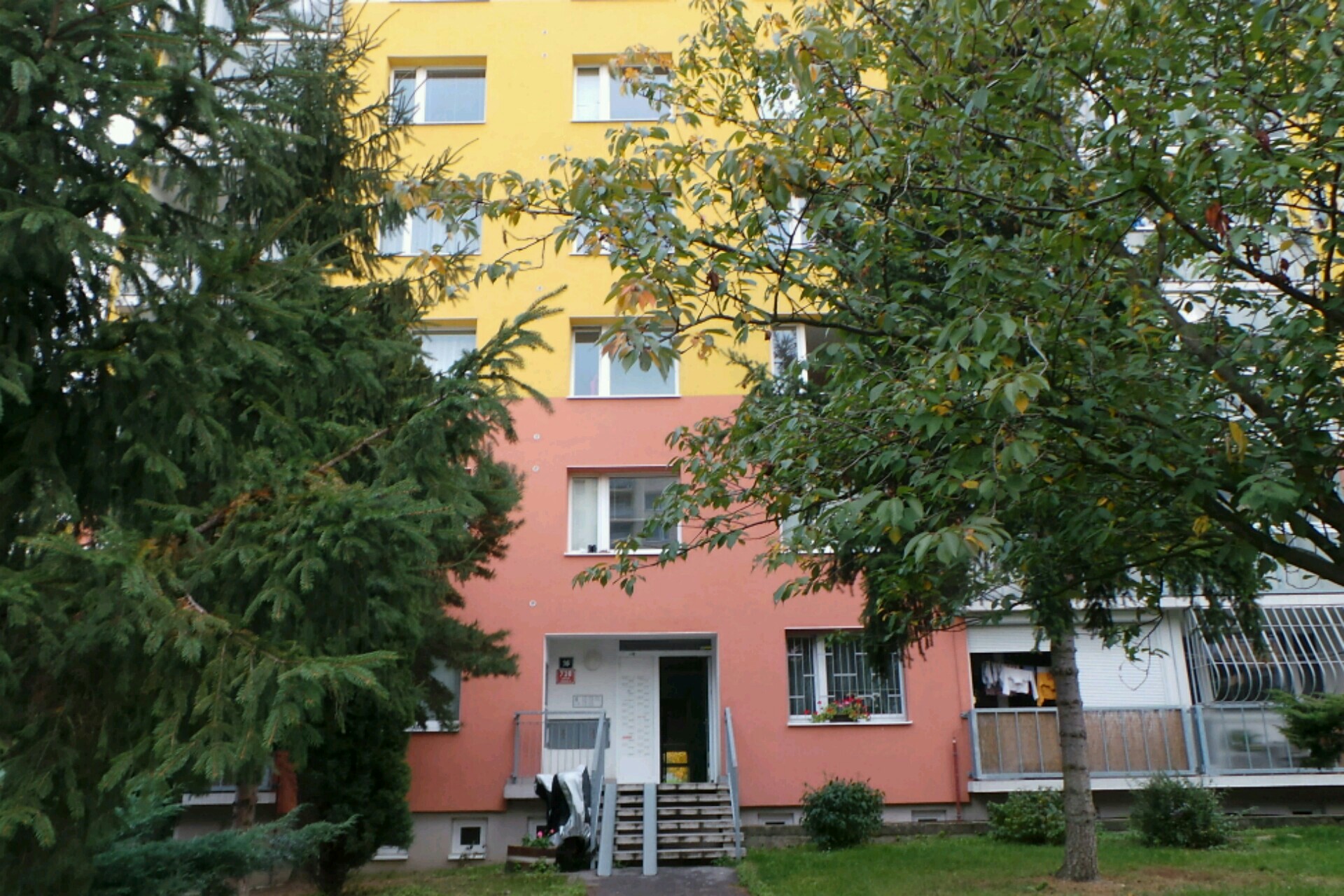 Roman Šiplák - MojePodlaha.cz foto 1